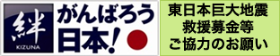 東日本巨大地震救援募金