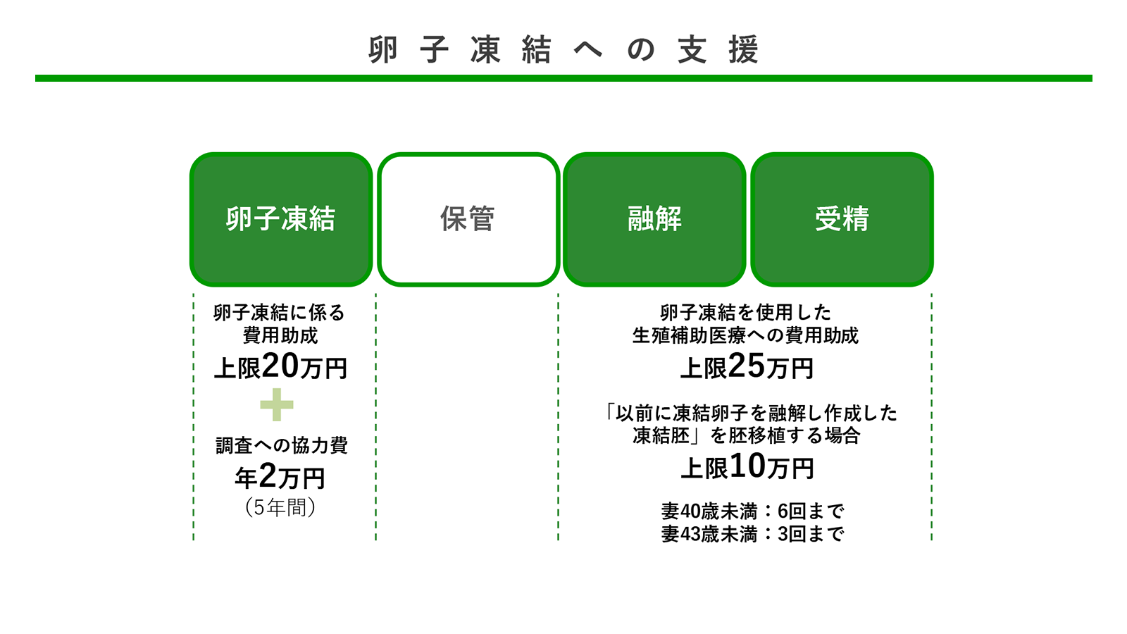 卵子凍結への支援